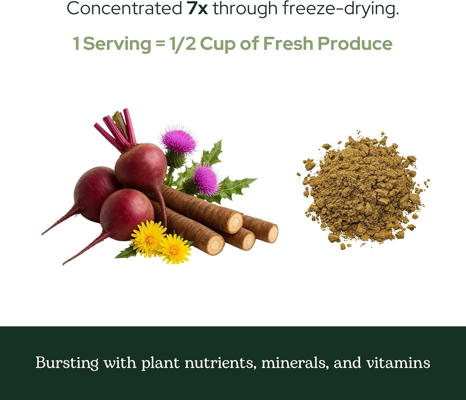 Eclectic Herb - Liver & Gallbladder Support Powder | Silymarin Supplement | Milk Thistle, Dandelion, Beet Root | Natural, Vegan, Non-GMO, Gluten Free (3.2 oz | 90 g)