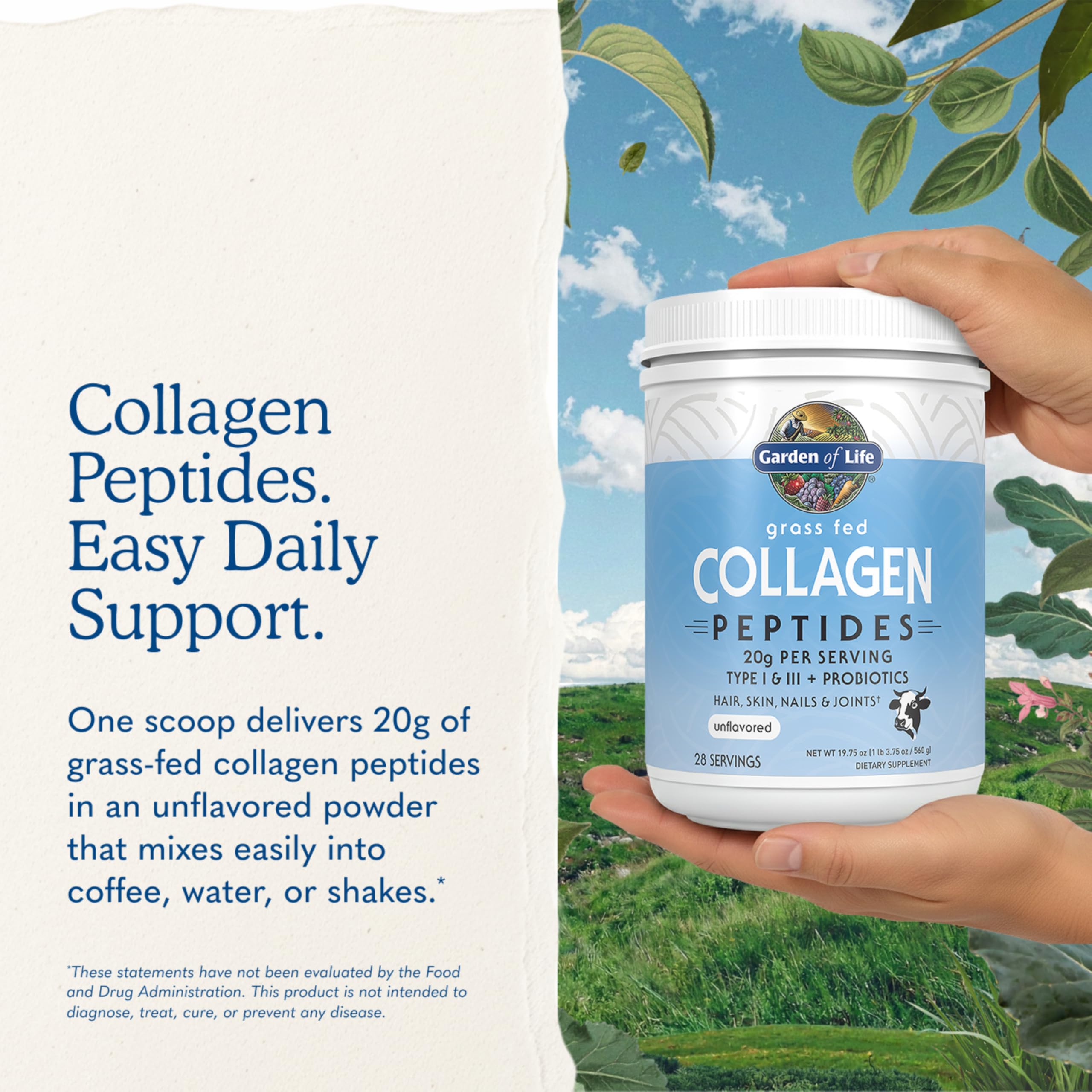 Garden of Life Grass-Fed Collagen Peptides Powder 560g Value Tub – Unflavoured Hydrolysed Collagen Types I & III for Skin, Hair, Nails & Joints, Mixes Easily, Keto