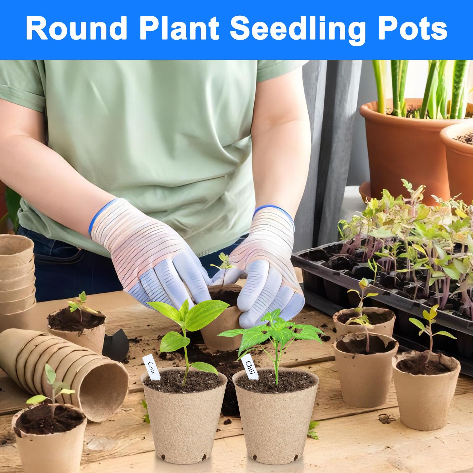 Peat Pots 8 cm, 65 Pcs Seed Starting Pot with Drainage Holes, 3.15 Inch Round Seedling Nursery Box, Small Seed Starting Starter Tray Bulk, Garden Germination Container with Bonus 65 Plant Labels - 3