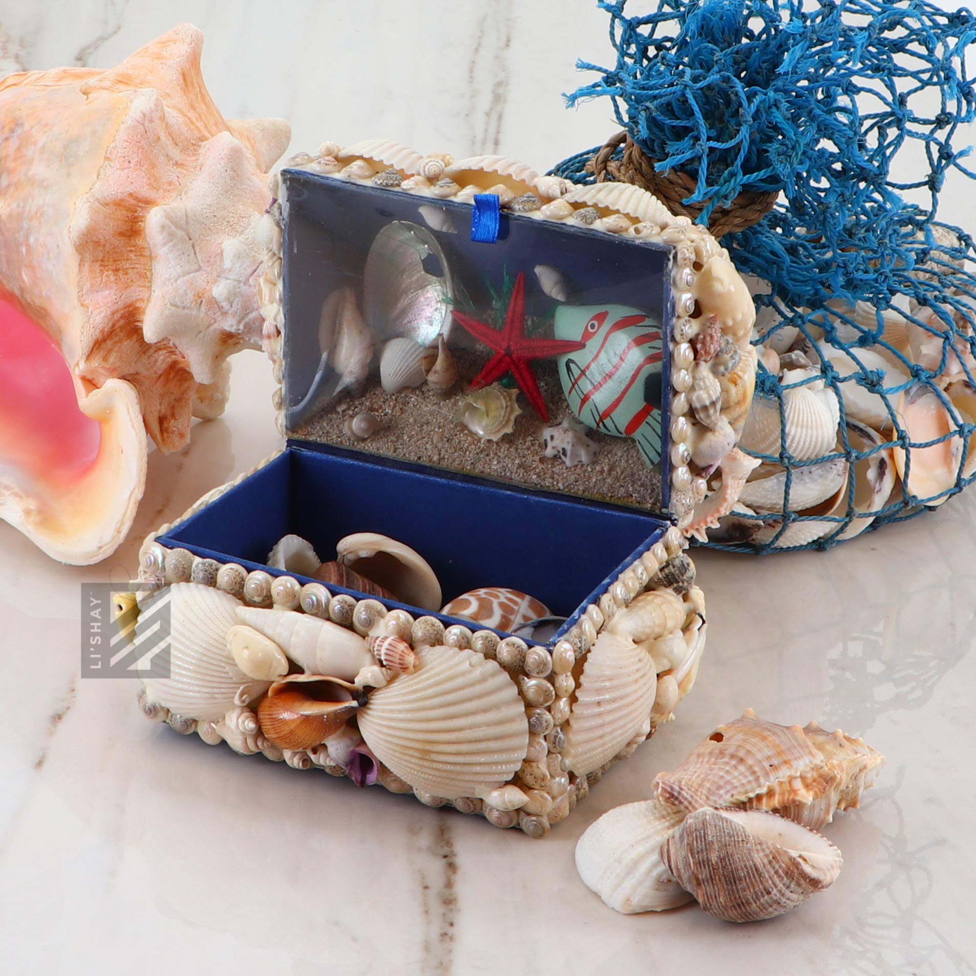 Amazon.co.jp: Li'Shay 貝殻の宝箱 海の風景 LSJB0094IN : ホーム