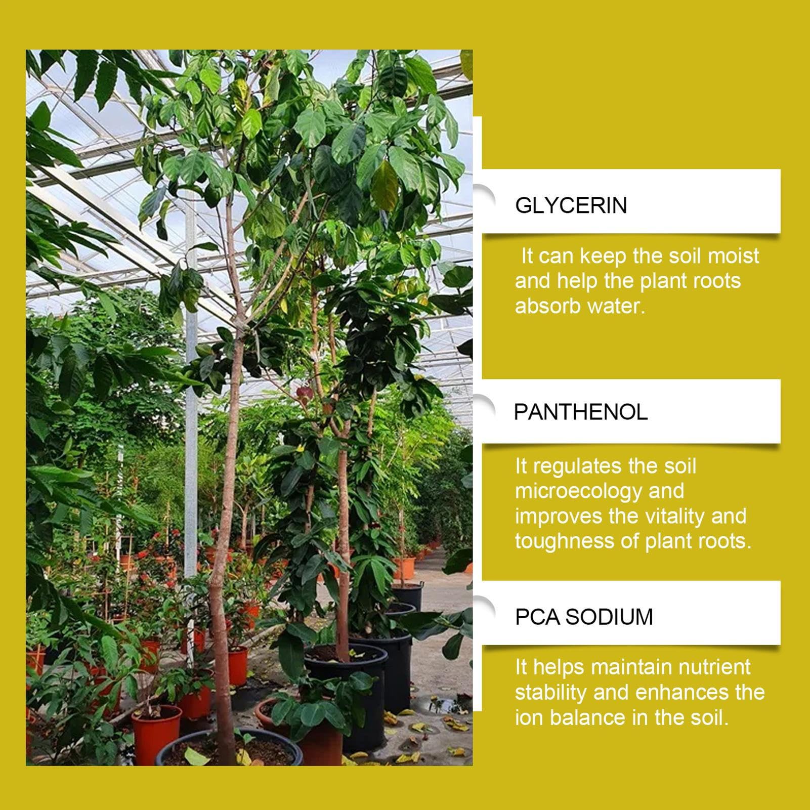 Plant Food Spikes, Fertilizer Spikes, 3.23x0.63x3.23 Inches Easy to Use Boosts Growth & Foliage Health, Slow Release Nutrition for Succulents, Bonsai, Flowers and Vegetables