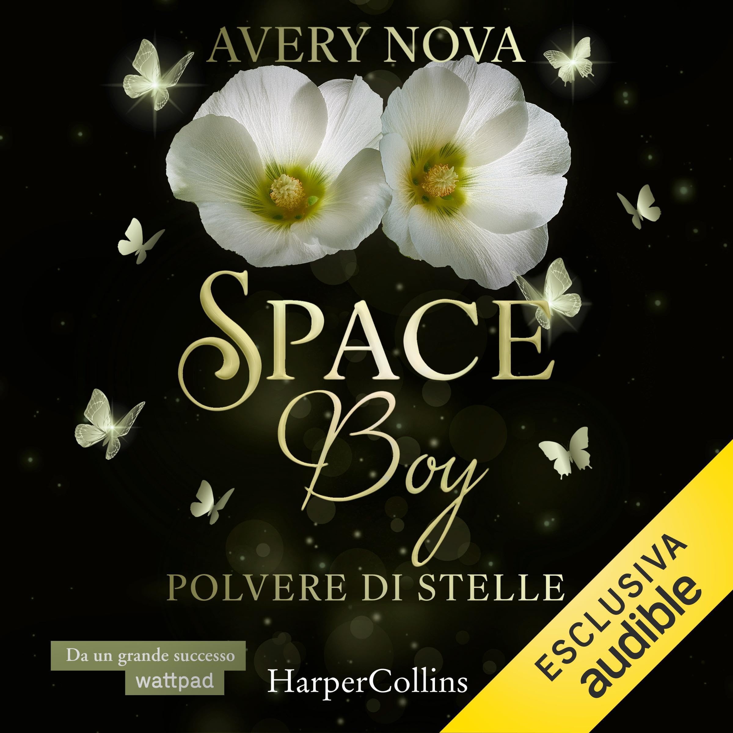 Cover art for Polvere di stelle
