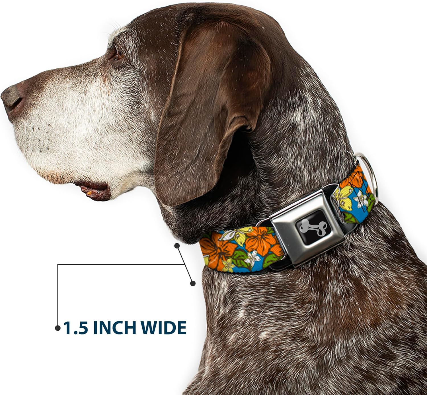 Buckle-Down Seatbelt Buckle Dog Collar - Hibiscus Collage Blue/Orange/Yellow - 1.5" Wide - Fits 18-32" Neck - Large