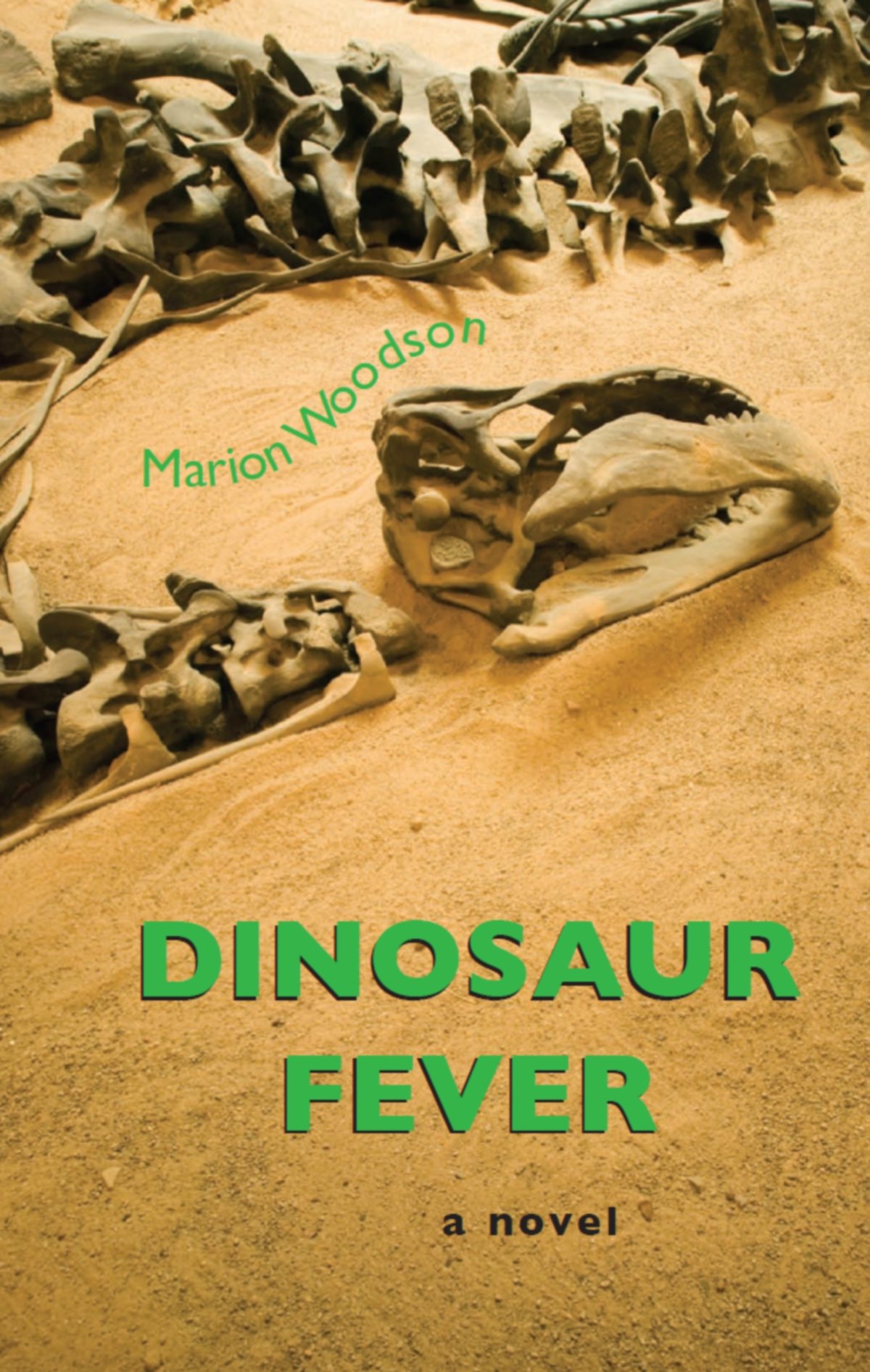 Buy Dinosaur Fever — BookShops.in