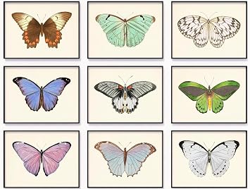 Vintage Butterfly Wall Art Set of 9 Botanical Butterfly Prints Colorful Nature Gallery Wall Decor Antique Entomology Artwork Unframed