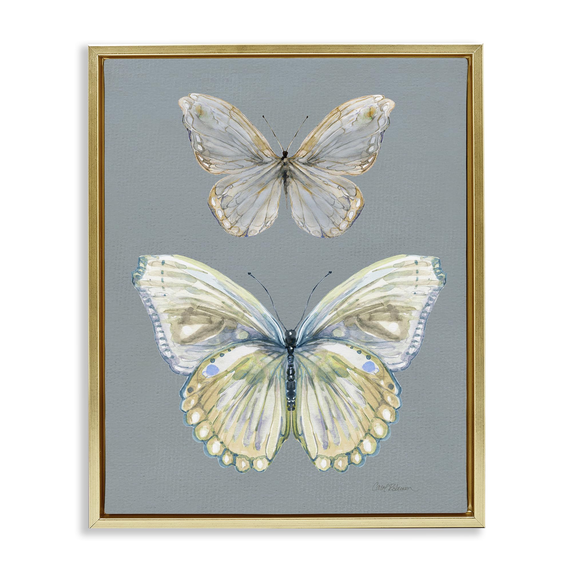 Stupell Industries Pastel Butterfly Pair Study 'Butterfly Pair Study'| Floating Frame Canvas Art