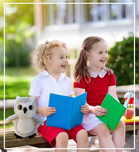 Miniatura 6 de DolliBu - Peluche de búho, súper suave, lindo animal de peluche gris para niños y niñas, regalos de búho de felpa para niños, adolescentes y