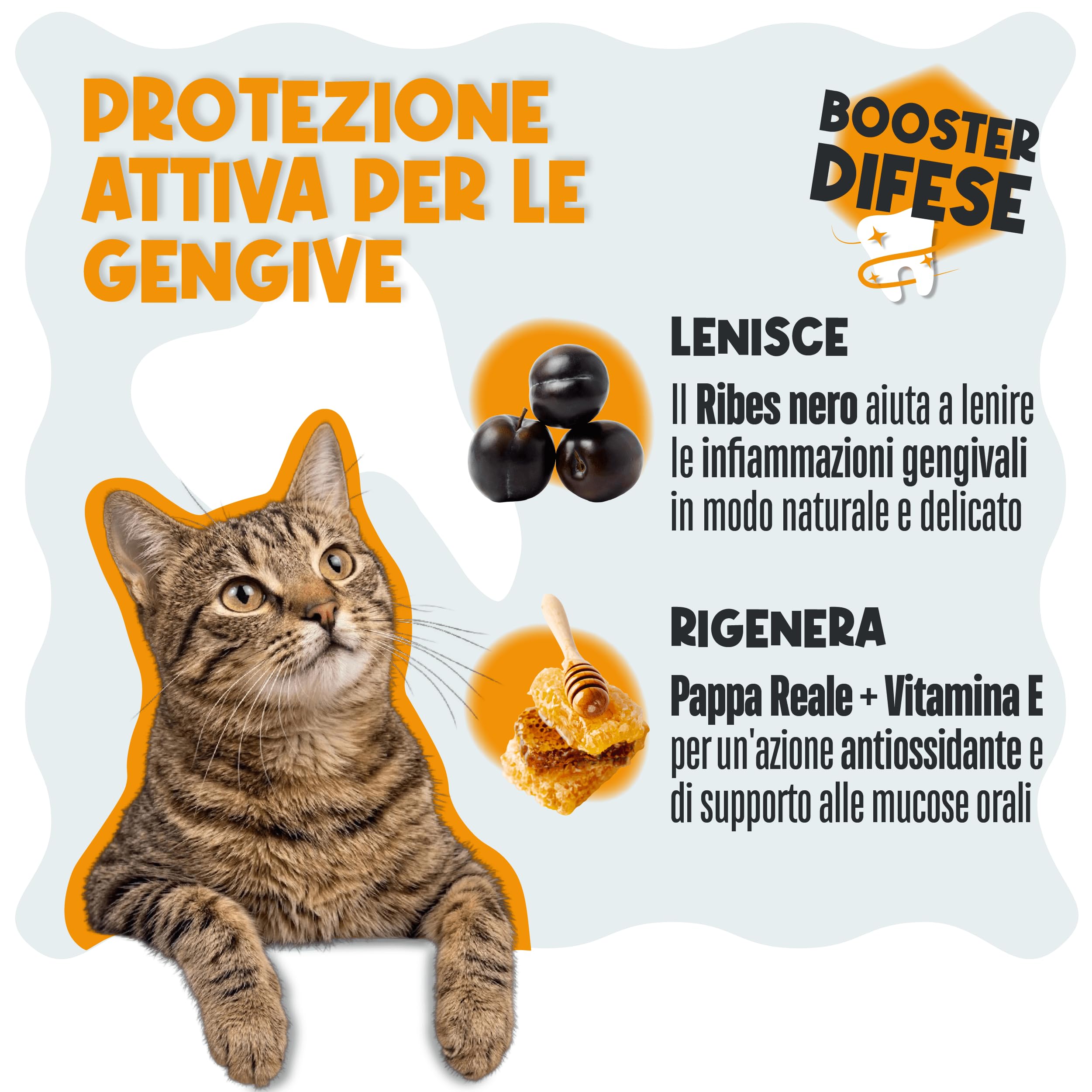 Dental Bright Polvere Dentale per Cani e Gatti, Sciogli Tartaro e Placca, Dentifricio Senza Spazzolino con Inulina, Menta, Pappa Reale e Salvia 100g 50 Dosi Made in Italy