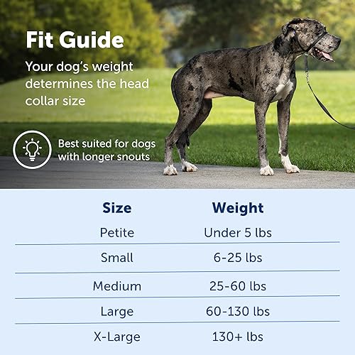 Miniatura 5 de PetSafe Collar de cabeza de líder suave con DVD de entrenamiento, extra grande 130 + lbs., Negro