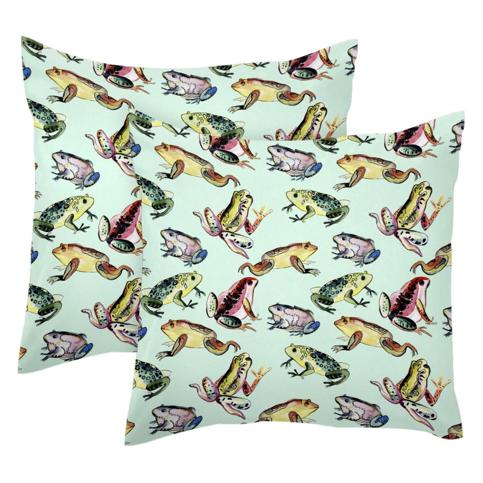 Housse de coussin velours 50x50 grenouille aquarelle lot de 2