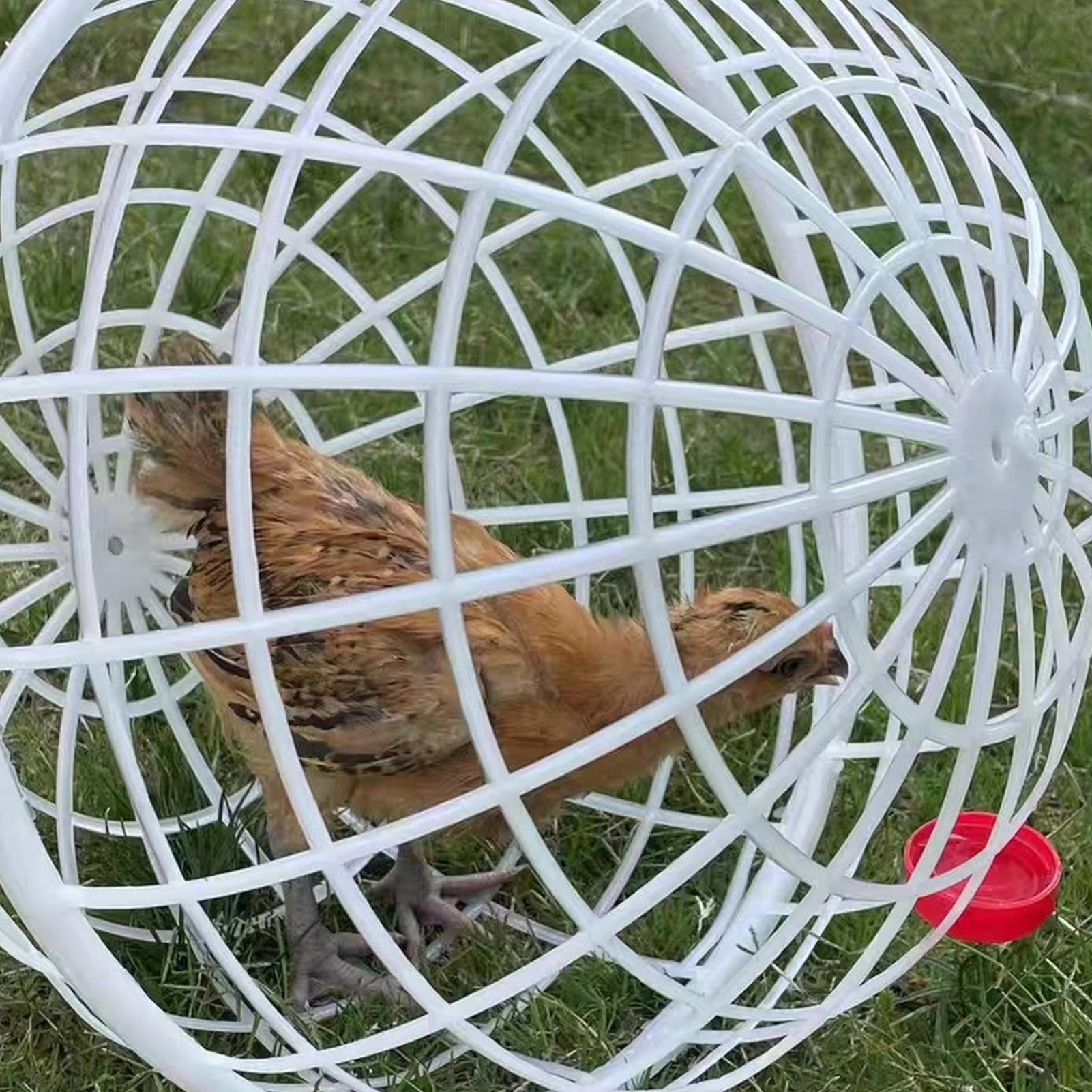 Gabbia per pollame – Penna a sfera per pollo, leggera recinzione per galline rotolanti | Confezione da 3 gabbie di sicurezza per polli per animali domestici con design a palla, rete per pulcini da