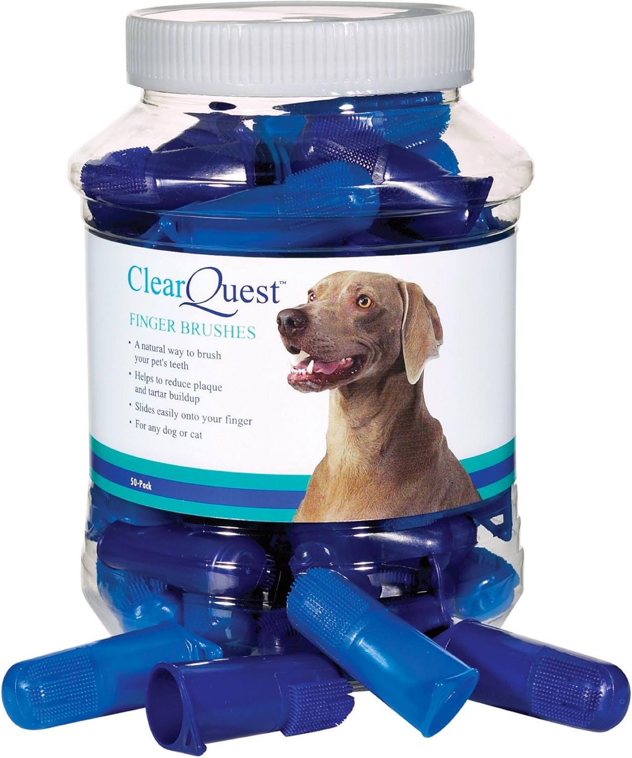 ClearQuest Finger Brush Canisters — Convenient Toothbrushes for Cleaning Pets' Teeth, 50-Pack