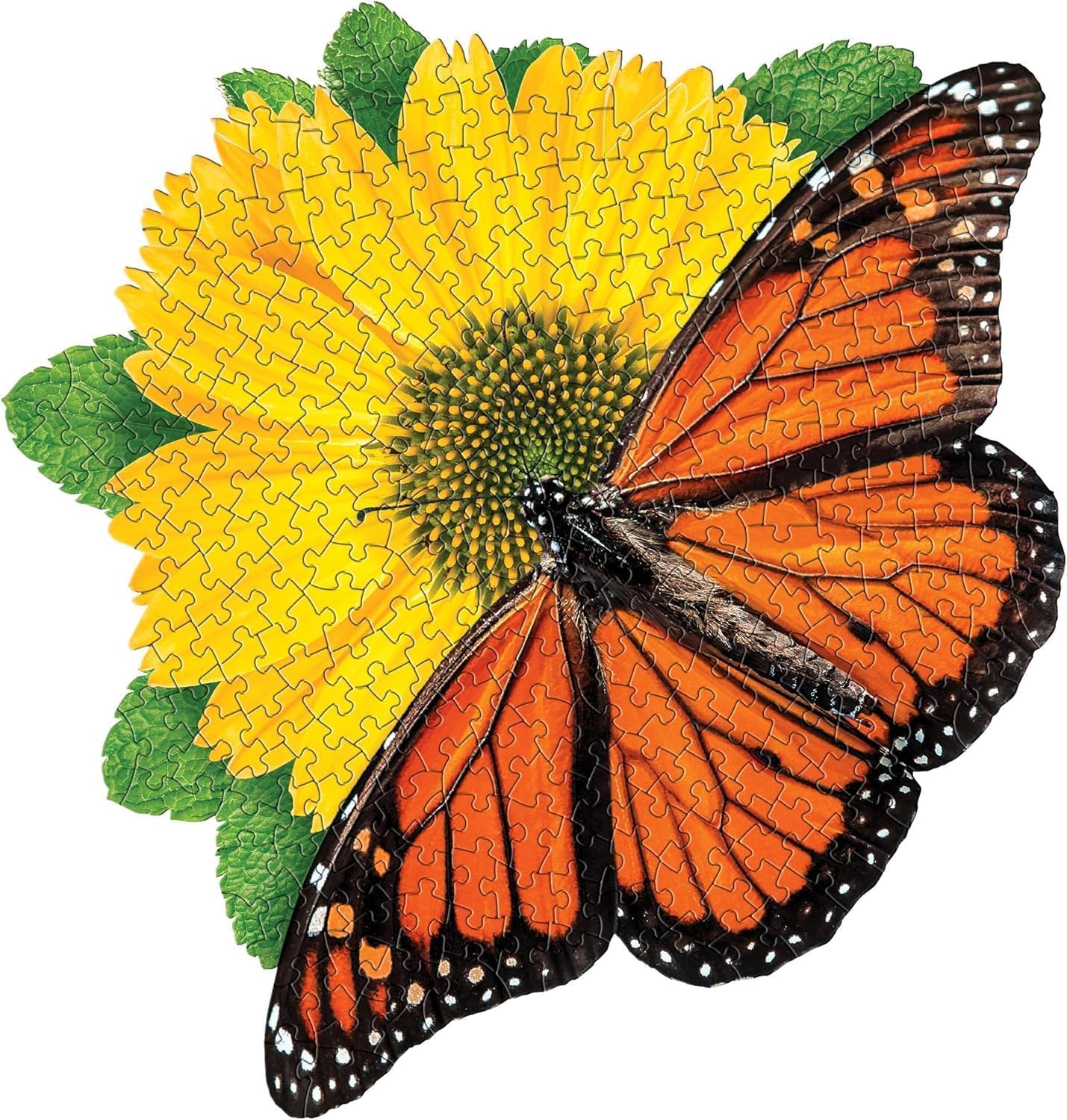 Amazon.com: Madd CAPP: I Am Butterfly - 300 Piece Puzzle - Insect