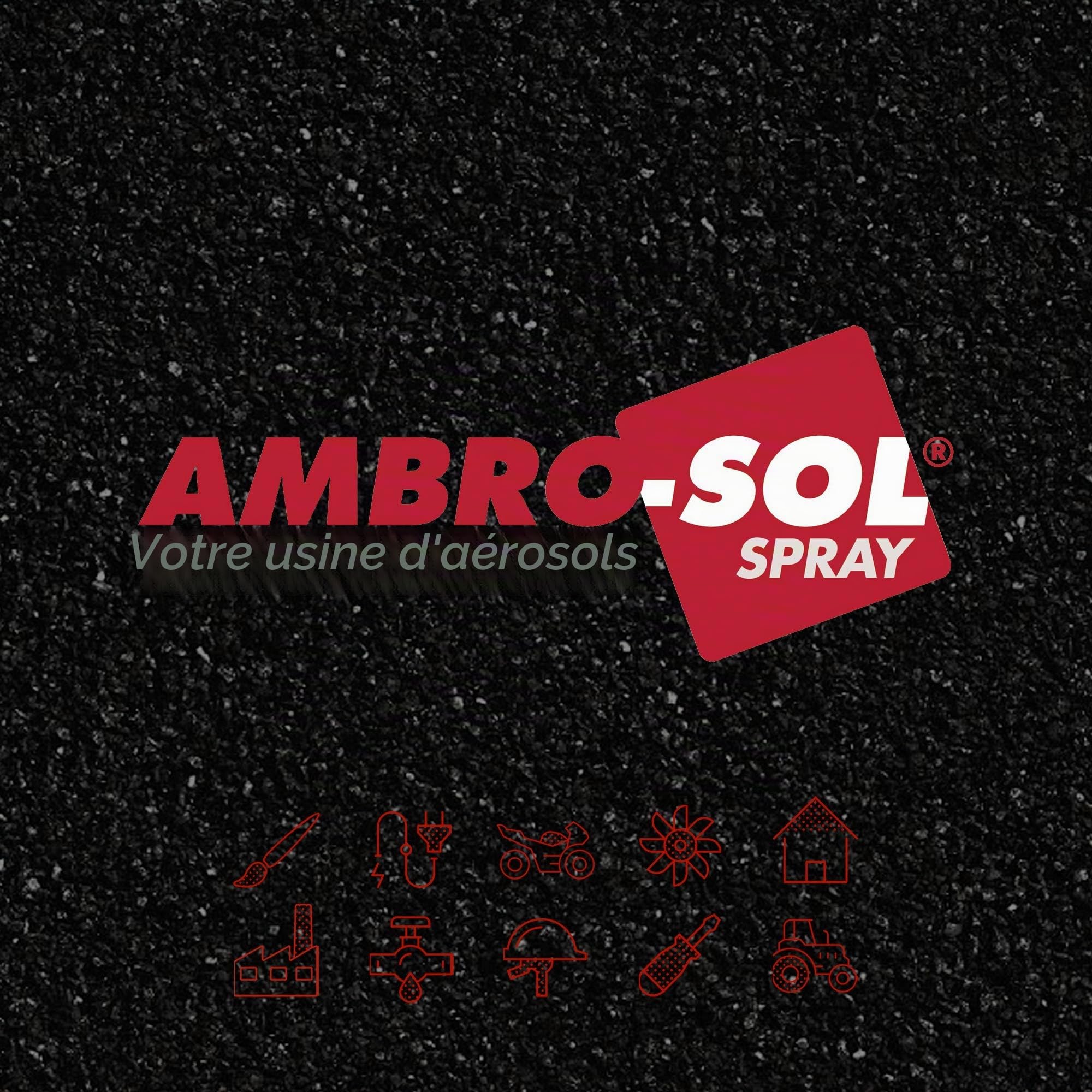 Ambre-Sol V400FAS3 Émail/Vernis Finitions Carrosserie, Indiqué pour Repeindre ou Renouveler Pare-chocs, Bandes Latérales et Spoilers, Bombe Spray en Bande Étamée Recyclable 400 ml, Gris Foncé Gaufré