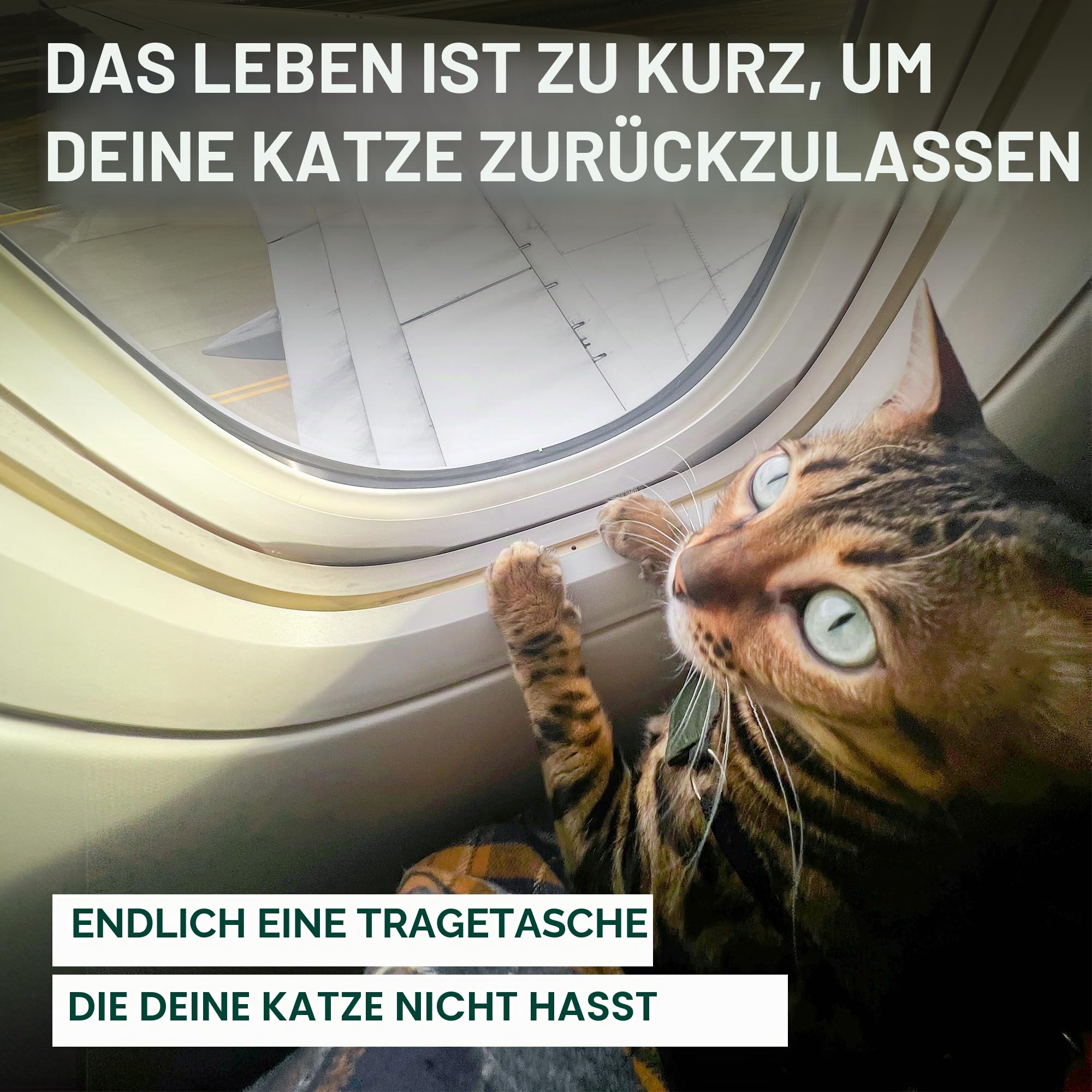 OutdoorBengal Zeppelin Airline-zugelassene große Katzentragetasche, weich, TSA-geprüfte Haustier-Tragetasche, mit Öffnung Oben, für Flugzeug- und Autoreisen, Kätzchen oder kleine Hunde (Creme)