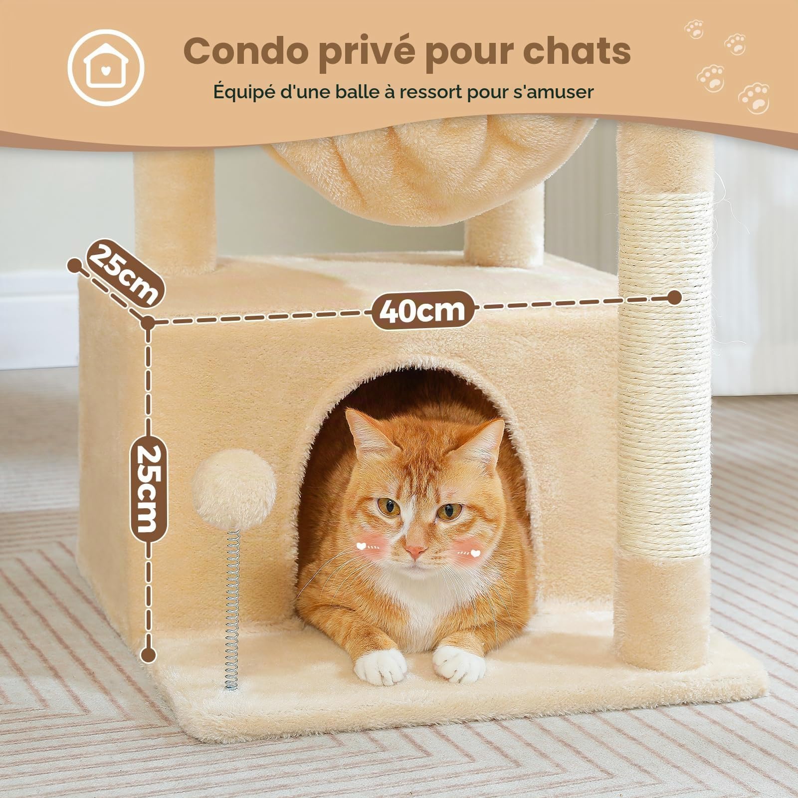PAWZ Road Arbre à chat d'intérieur pour chat avec grand hamac 79 cm