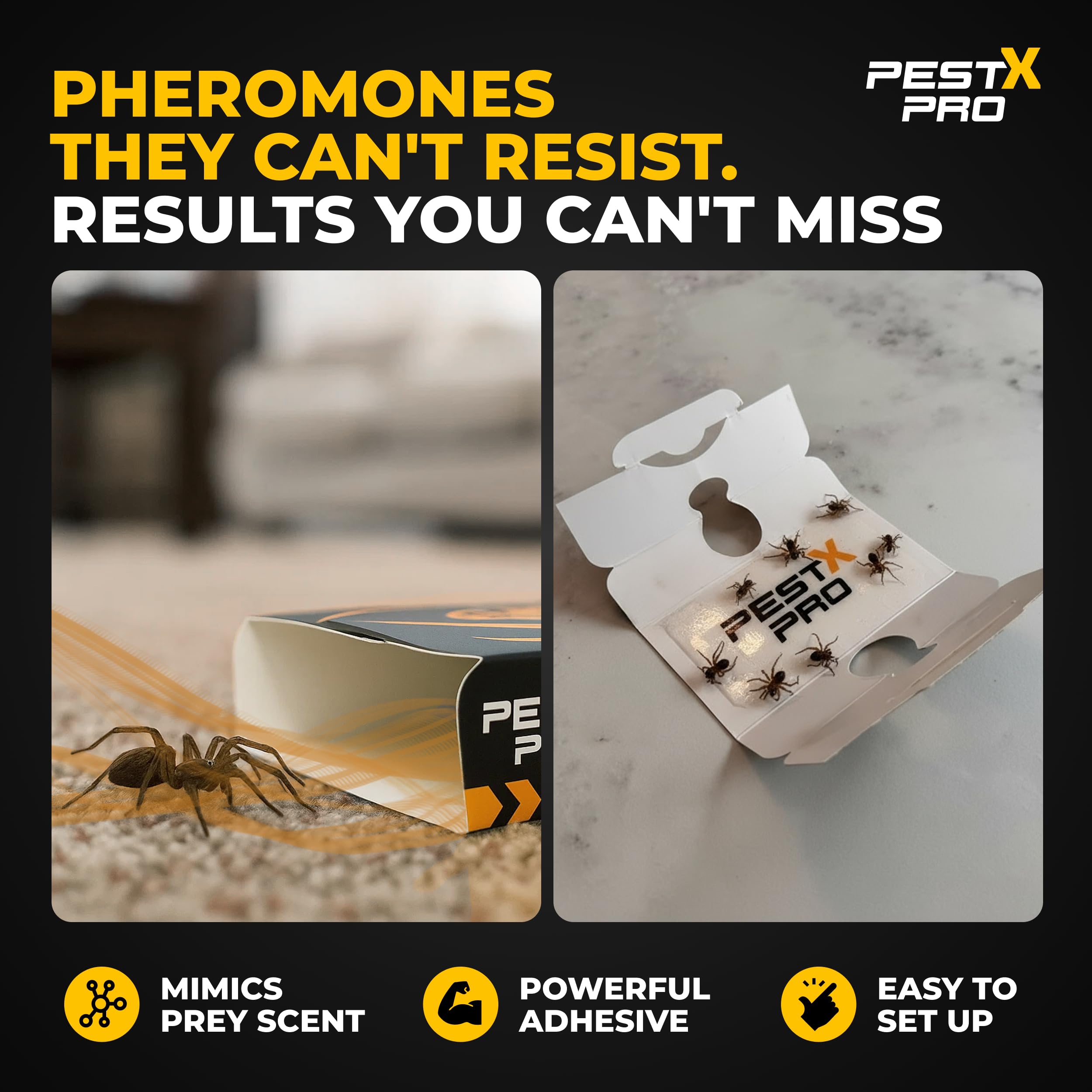 View 5