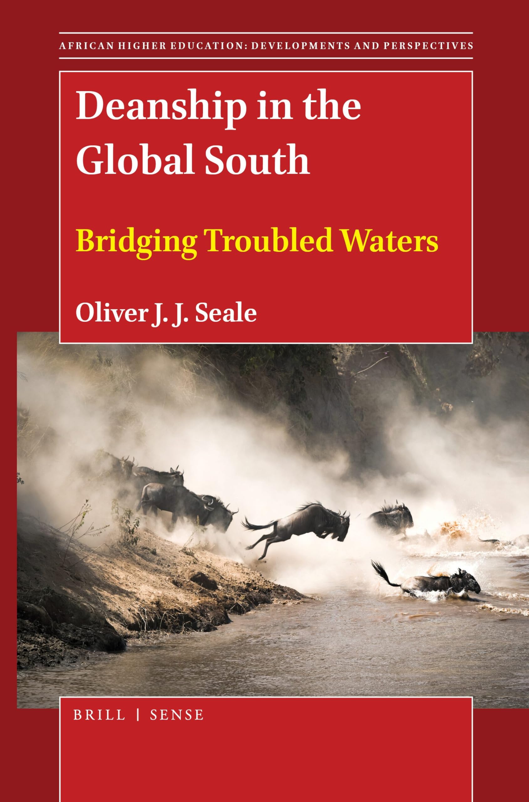 Deanship in the Global South: Bridging Troubled Waters: 8 (African Higher Education: Developments and Perspectives, 8)