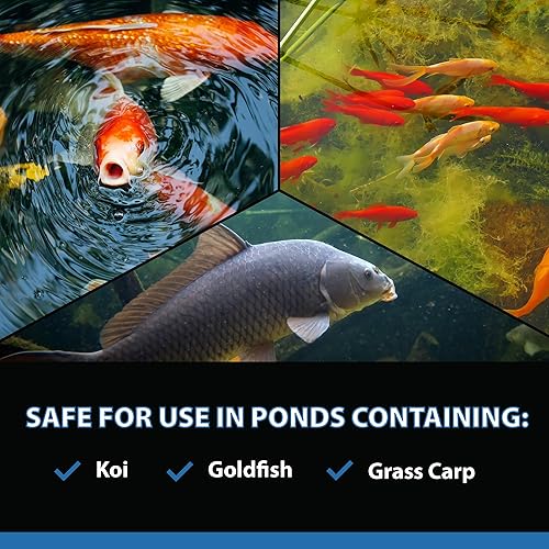 Miniatura 7 de CrystalClear AlgaeOff - Limpiador de escoria de jardín para estanques y agua, removedor de limo de cascada y roca, eliminador de algas en cuerdas,