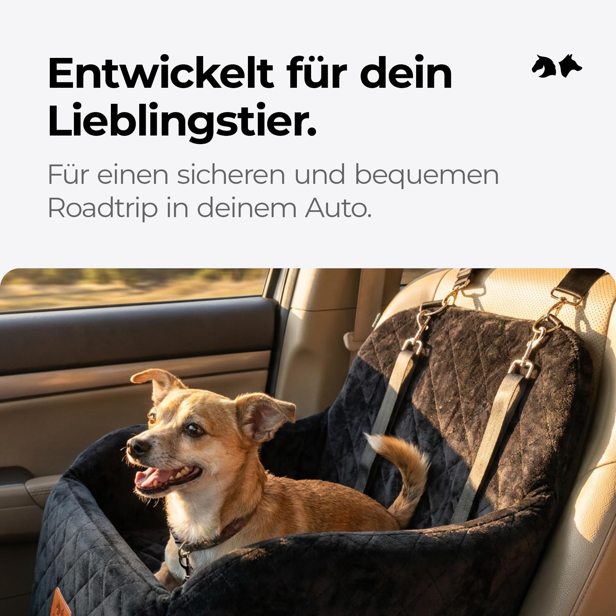 SAFERIDE Hundesitz mit Isofix für Auto und Reisen mit Haustier