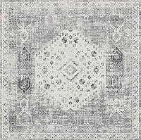 Vista 51 de Alfombra de Pasillo Lavable - Alfombras de Cocina de 2'6"x12' con Respaldo Antideslizante, Alfombras de Casa de Campo para Interiores para Sala