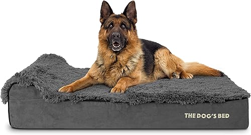 Miniatura 34 de Cama ortopédica para perro de la marca The Dog's Bed, espuma viscoelástica premium S-XXXL, impermeable, alivio del dolor de perro para la artritis,