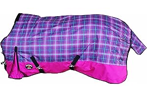 Challenger Horse Blanket Proven Winner in withstanding frigid temps