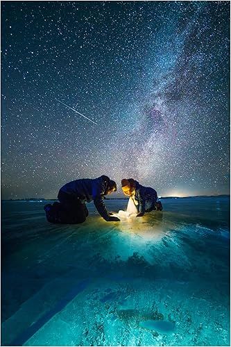 Trademark Fine Art Lienzo de Bingo Z con texto en inglés "The Fish"