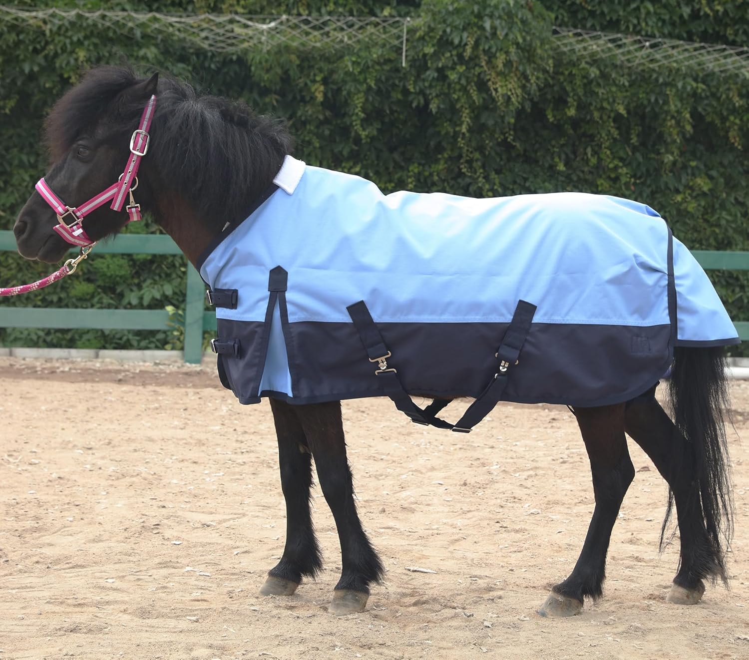 LEAFOREST 1200 Denier Waterproof Mini Shetland Rug Pony Rug Foal Rug Turnout Rug (no Filling) Blue Navy 48IN
