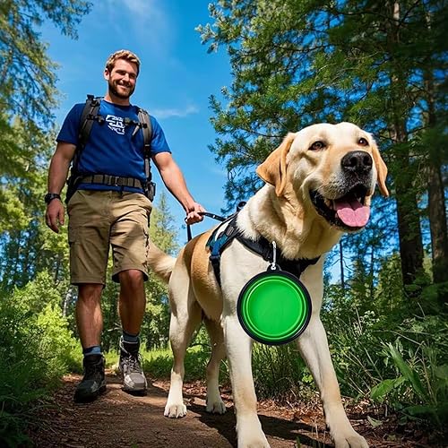 Vista 78 de SLSON - Tazón plegable portátil para perros, gatos y mascotas con 2 mosquetones para paseos, estacionamiento y viajes, para agua y comida