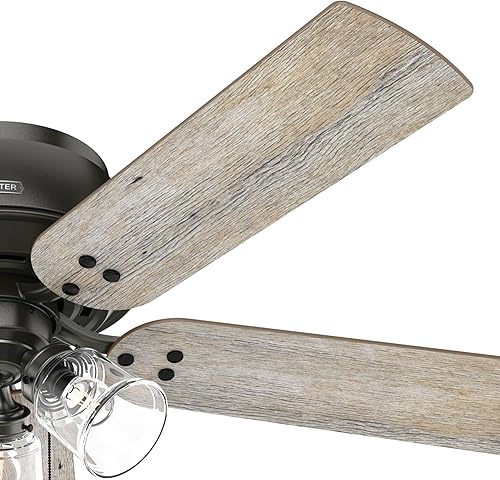 Miniatura 30 de Hunter Fan Company 52380 Shady Grove - Ventilador de techo, color plateado mate Plateado mate,Mate negro,bronce