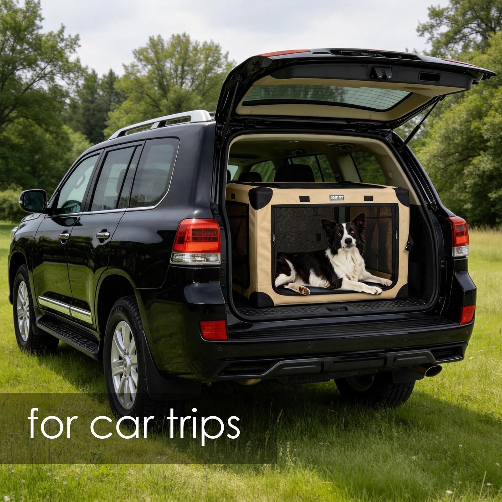 Cage de transport pliable réglable pour chiens de races moyennes - Avec fenêtres en maille renforcée et lit pliant pour la maison et les voyages