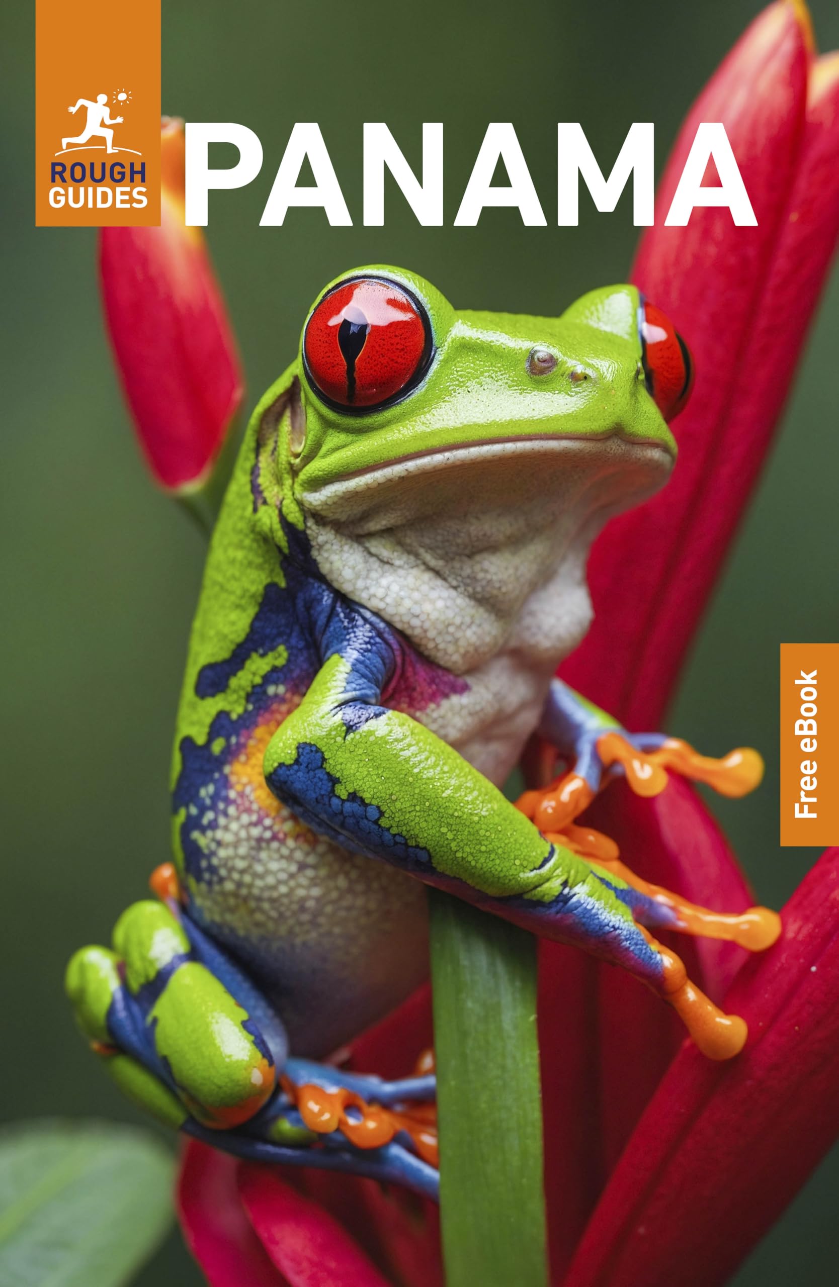 Rough Guides Panama: Travel Guide with eBook (Rough Guides Main Series)