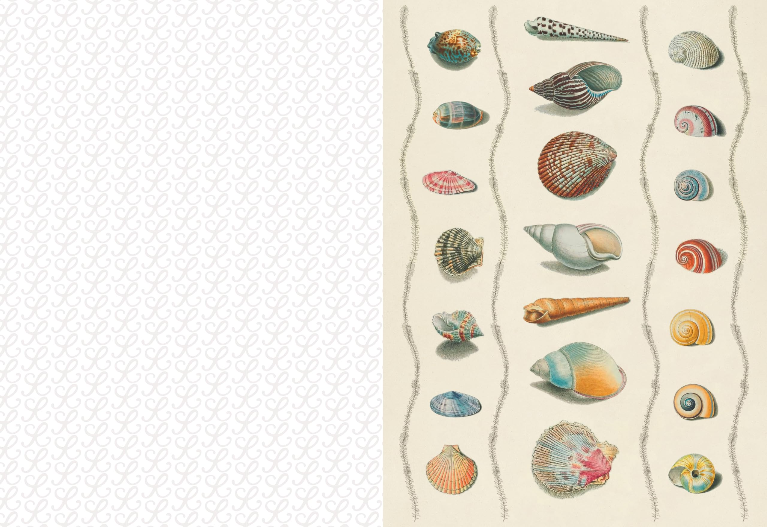 The Collage Compendium: 2,000 Images to Cut Out & Collage