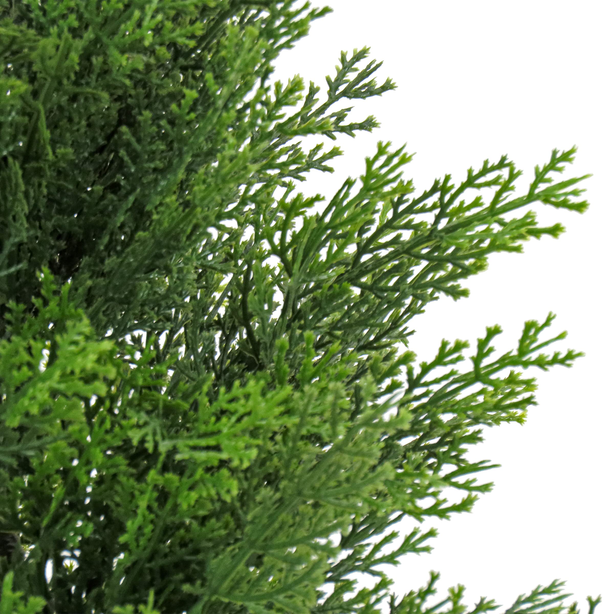 National Tree 24 Inch Frosted Berry Porch Bush with Red Berries, Cones and 50 Clear Lights in Dark Bronze Urn (FRB3-24PLO)