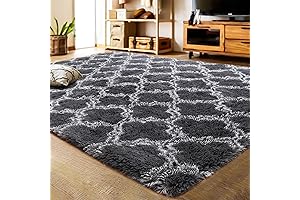 LOCHAS Luxury 8x5 Shag Area Rug
