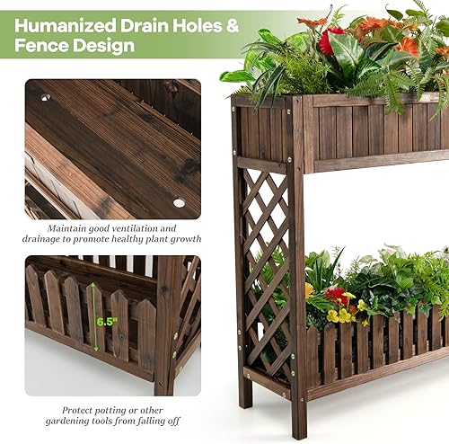 Miniatura 4 de S AFSTAR Cama de jardín elevada de 2 niveles, cama de flores para interiores y exteriores con valla de estante inferior, caja elevada de madera de