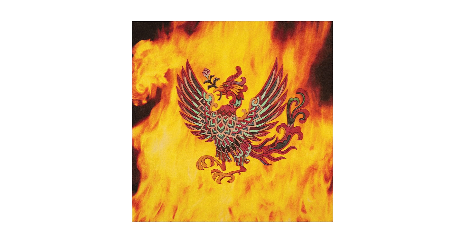 大黒摩季「PHOENIX 」BIG盤CD＋2DVD 大黒摩季 | PHOENIX【BIG盤】 | Musing | B ZONE | CD | DVD