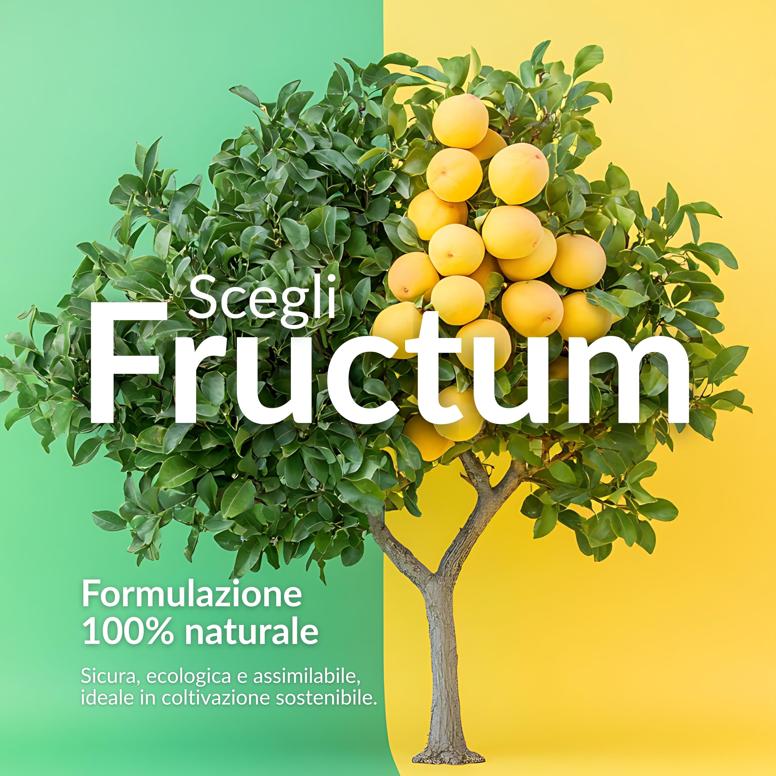 BIOTICA Concime Liquido Biologico per Piante da Frutto e Orto, Fructum 5L