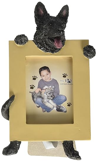 E&S Pets 35315-75b Small Dog Frame