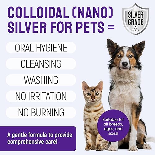 Miniatura 4 de SILVER GRADE Spray para Aliento y Encías de Perros para Boca de Mascotas – Cuidado Dental para Gatos con Plata – Ambientador de Aliento para Perros