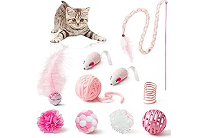 MALLMALL6 10Pcs Cat Toy Set - Valentine's Day Edition
