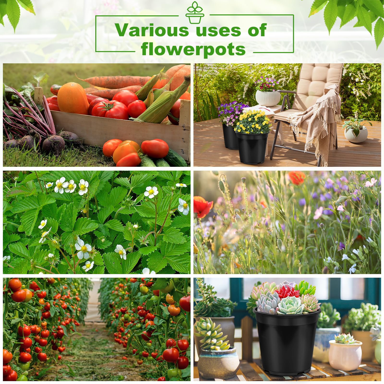 6 macetas de plástico de 3 galones para Plantas, 1, 2, 3, 5, 7 galones con Agujeros de Drenaje, macetas para semilleros para guardería, jardín, Flores, suculentas al Aire Libre e Interior