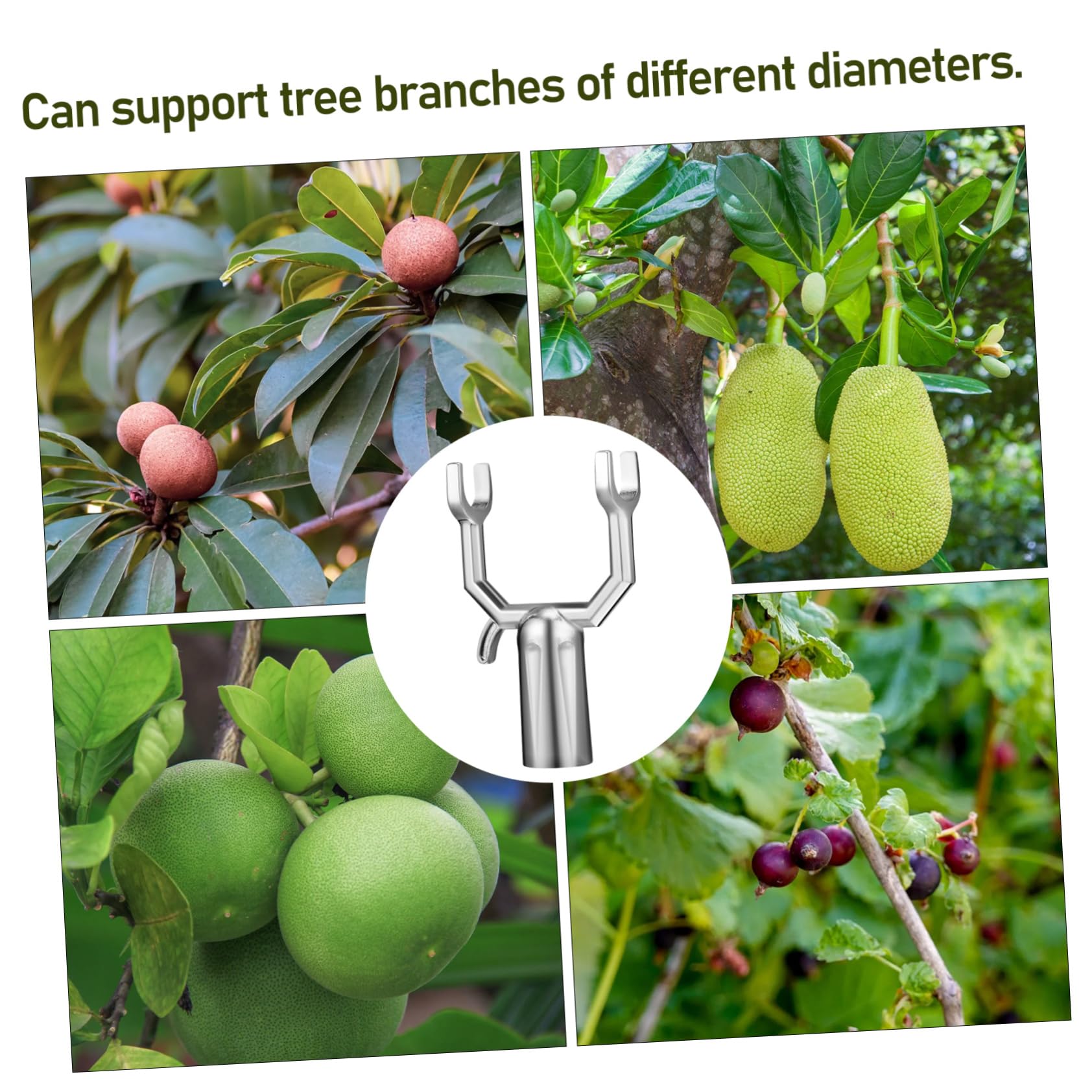 Kit De 6 Supports De Branches Pour Arbres Fruitiers - En Aluminium - Redressement Et Soutien Des Jeunes Arbres