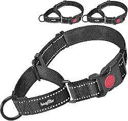 Coleira para cachorro Haapaw 2 pacotes com coleiras refletoras de liberação rápida para cães pequenos, médios e grandeshaapaw collar+collar, S neck 12'-13' preto