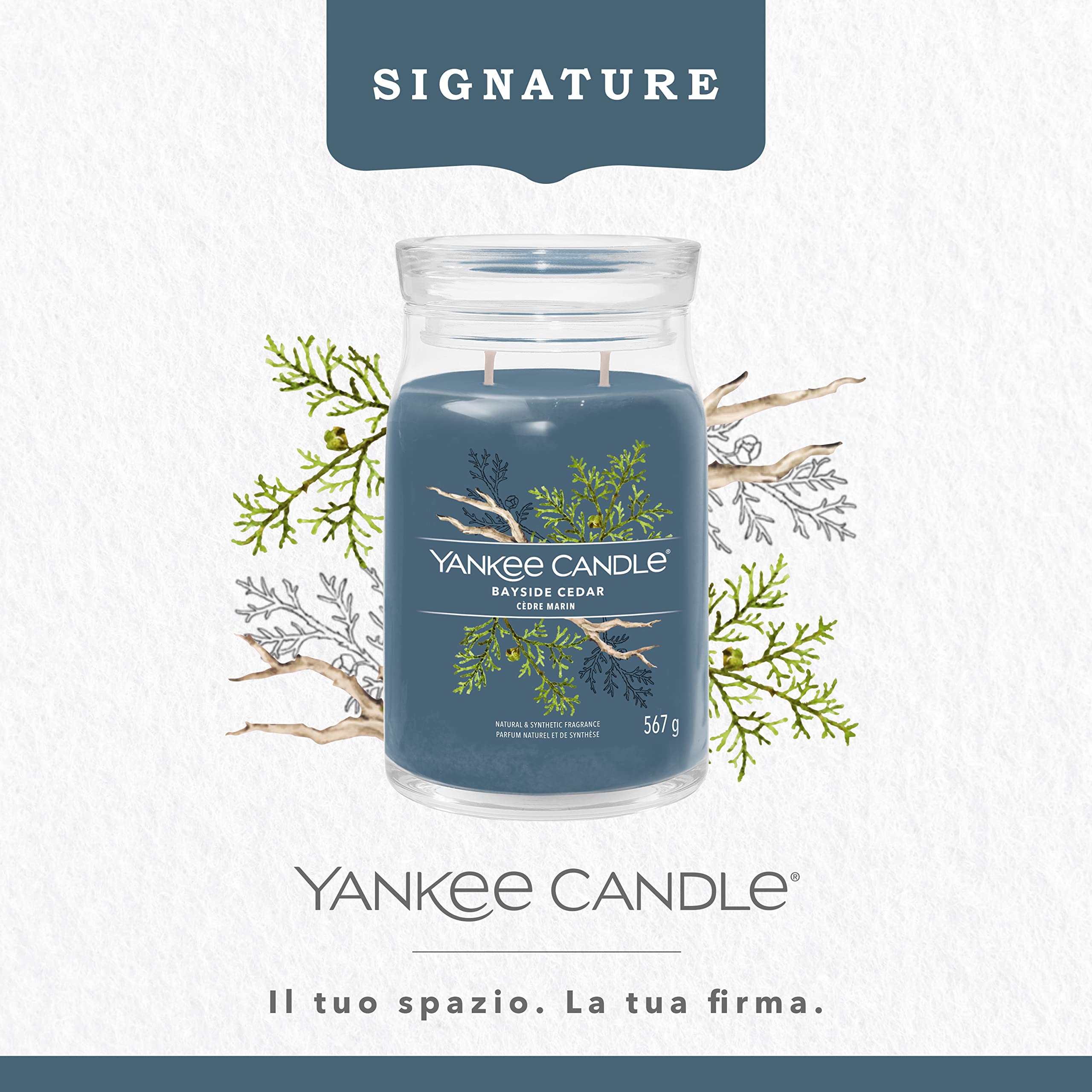 Yankee Candle Signature Candela Profumata, Cedro Lungo La Costa in Giara Grande, Candele di Miscela di Cera di Soia Lunga Durata, Regalo per le Donne
