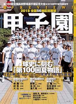 【甲子園】第100回　全国高等学校野球選手権記念　ボール　高校野球 甲子園 100回 大会 記念球