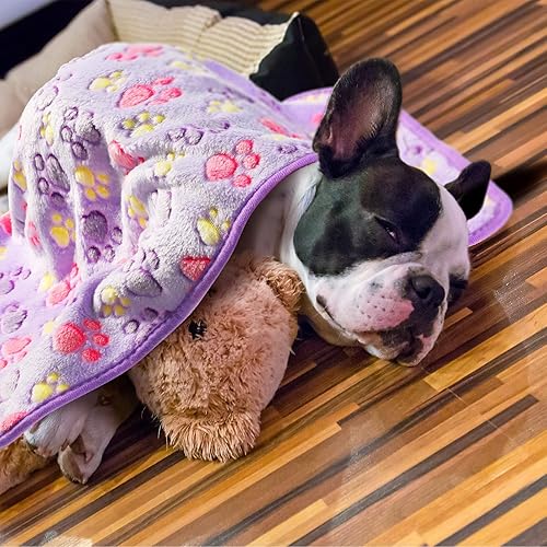 Vista 60 de Tatuo 4 unidades de mantas para perros y cachorros, juguetes de dentición, manta de vellón con estampado de patas, manta de vellón para mascotas