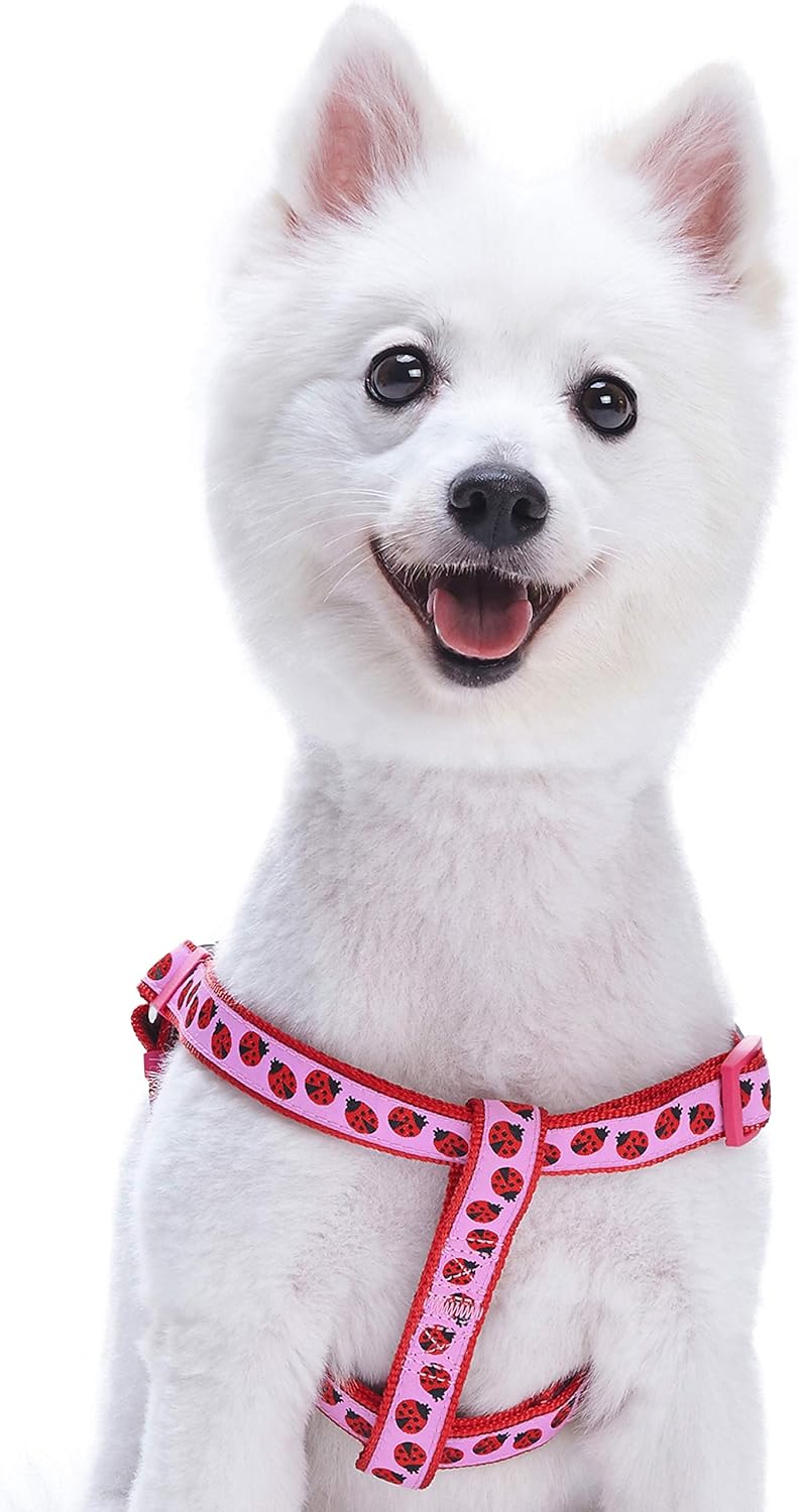 Blueberry Pet Essentials 2 Patterns Stepin Ladybug