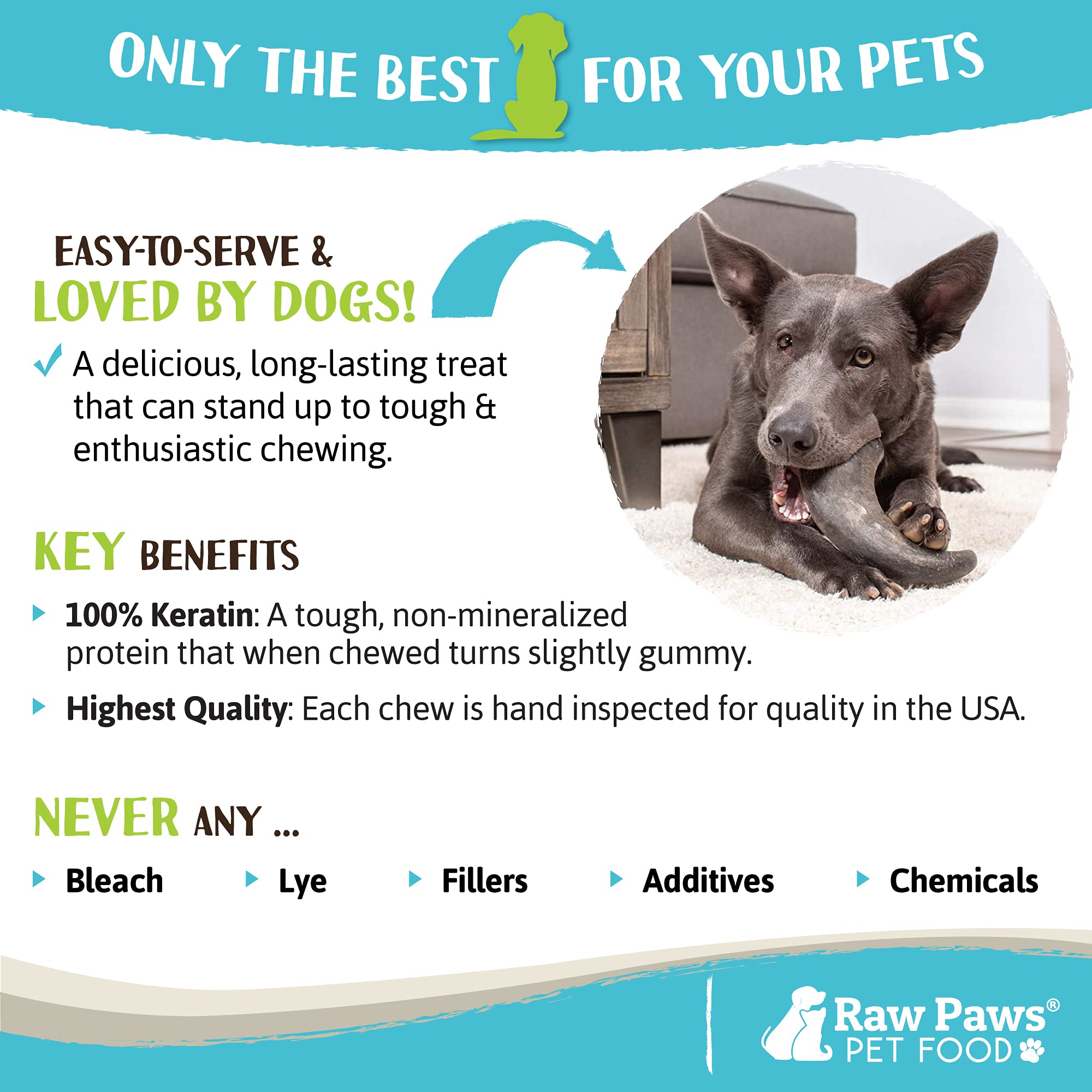 Are Bull Horns Safe For Dogs